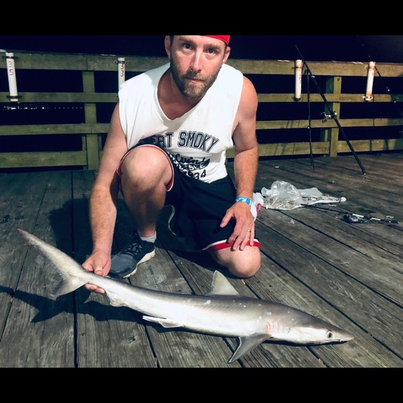 Meet your Posher, Daniel - Picture 1 of 1